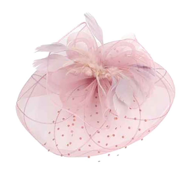 Flower Feather Mesh Fascinator / Headband