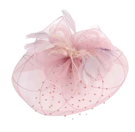 Flower Feather Mesh Fascinator / Headband