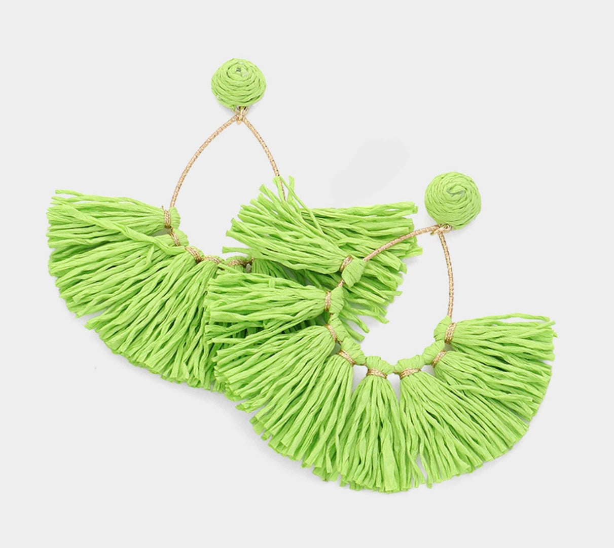 Raffia Fringe Fan Dangle Earrings