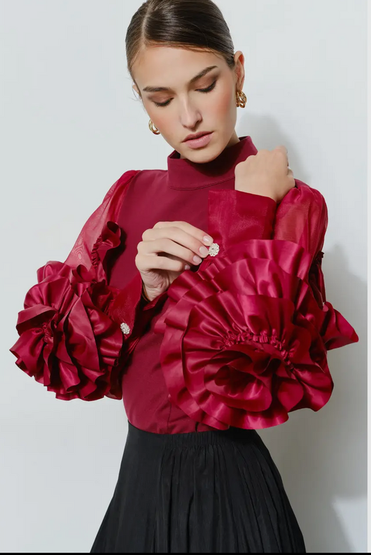 Rosezetta Ruffle Sleeve Fancy Top
