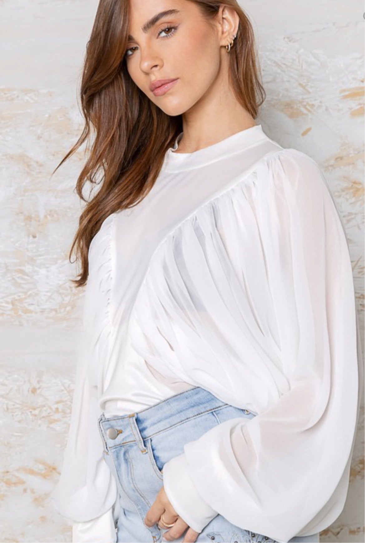 Zelma Balloon Long Sleeve Sheer Top