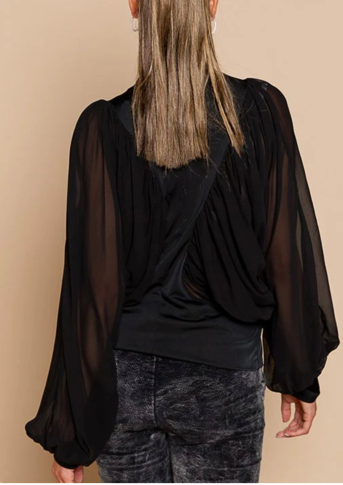 Zelma Balloon Long Sleeve Sheer Top