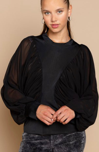 Zelma Balloon Long Sleeve Sheer Top