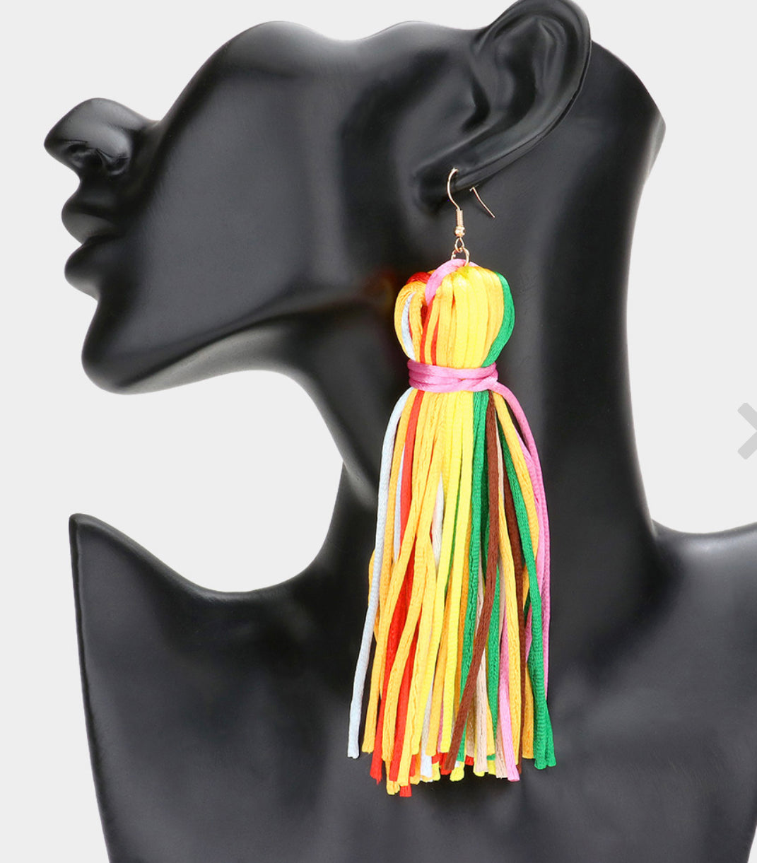 Multi Color Tassel Dangle Earrings