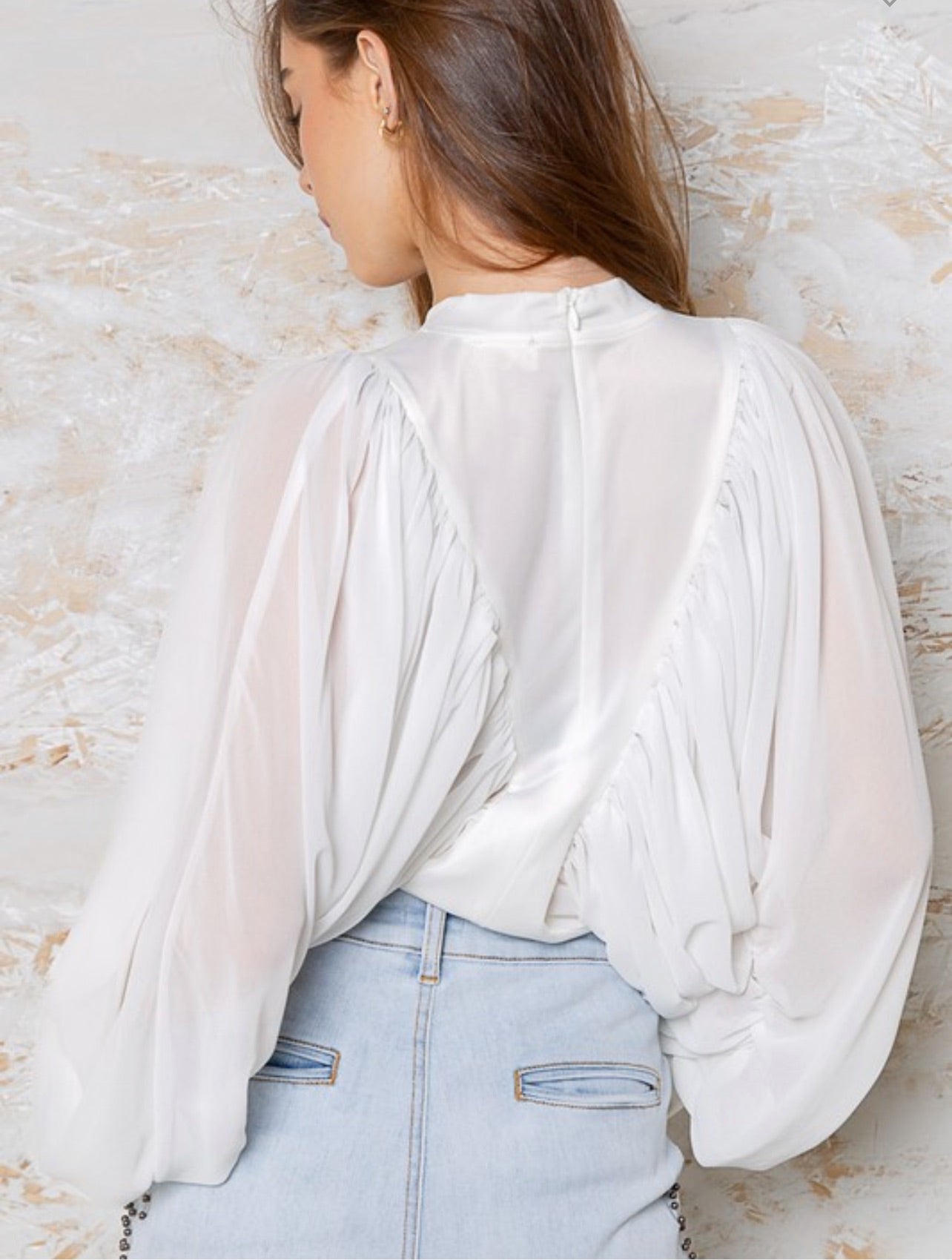 Zelma Balloon Long Sleeve Sheer Top