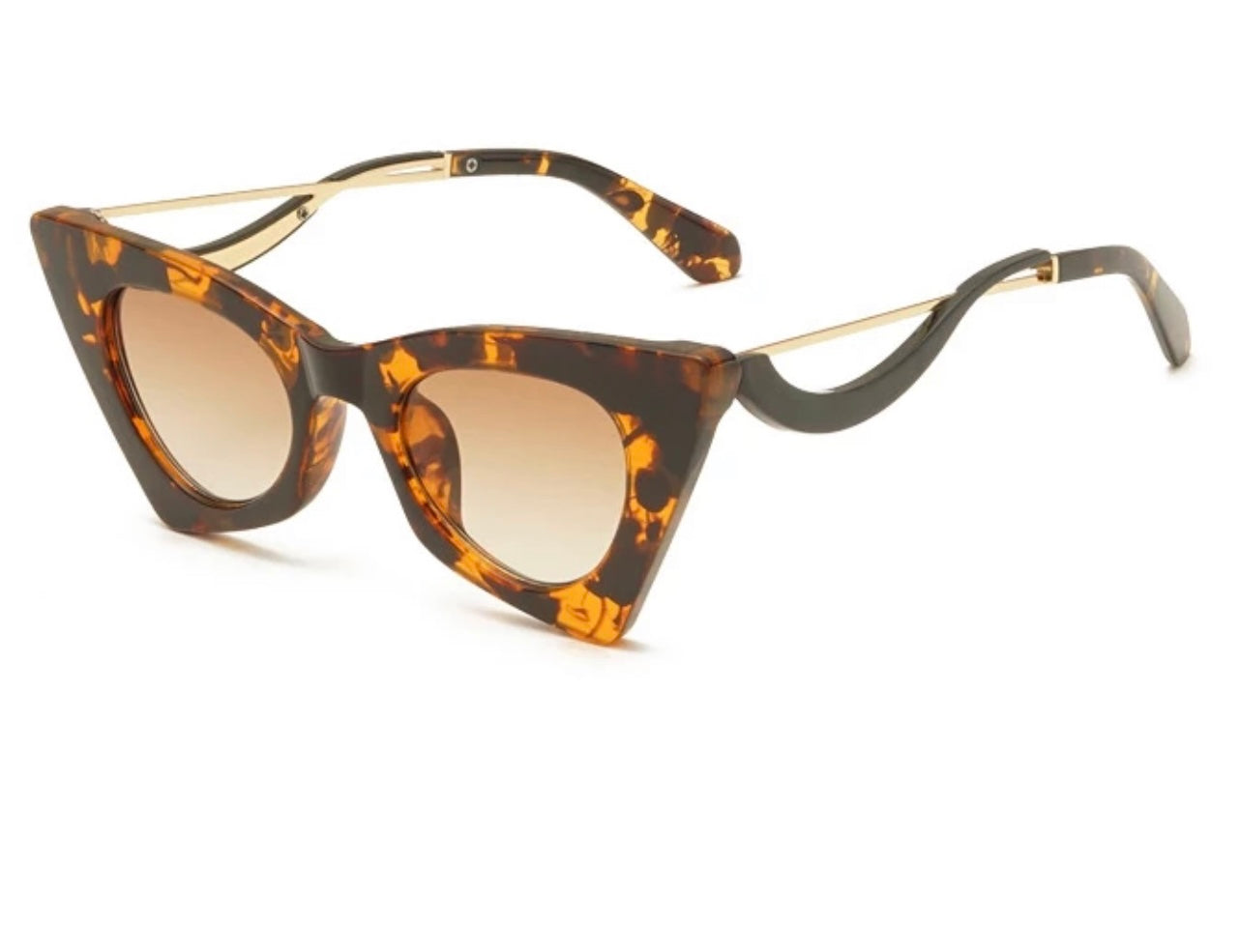 Chocolate Flossy Frames 101